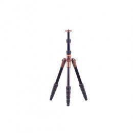 Section Aleación Trípode EVOLUCIÓN6